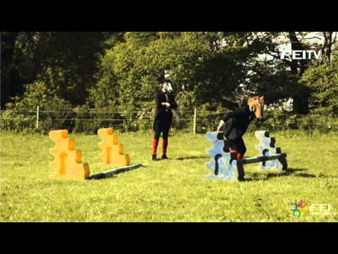 Horses in black tie jump for joy in the run-up to the FEI Awards