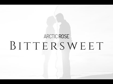 Arctic Rose – Bittersweet