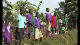 preview picture of video 'Uganda Biser Afrike 2'