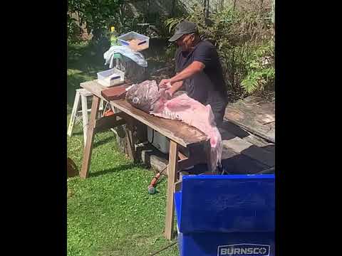 Kai Ika Fish Smoking