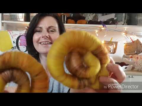 Willow' Gestrick - vlogmas #5-11