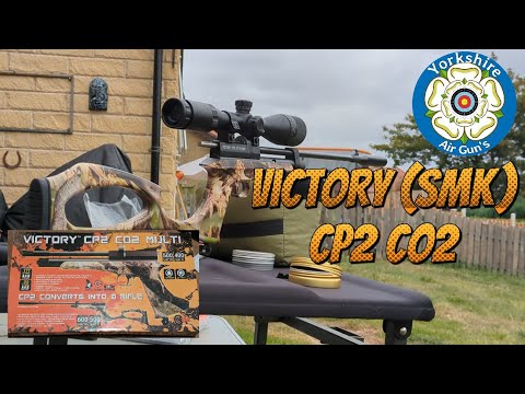 Victory SMK CP2 in the garden at 20yds #airgun #airrifleshooting #subscribe #airweapons
