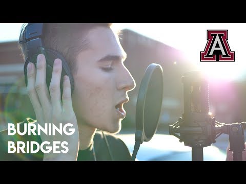 Burning Bridges (Cambridge Diss)