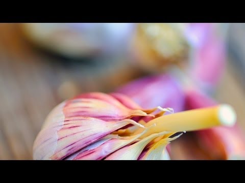 What Makes Garlic a Superfood? | Superfoods Guide