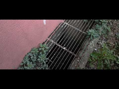 Trailer of Civa (2023)