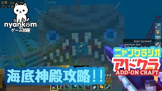 [朝から雑談]Minecraft 必携アドオン紹介!! アドオン世界を行く!![にゃんくらじお]