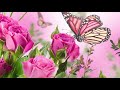 Peaceful music, Relaxing music, Instrumental Music "Summers light" by Tim Janis