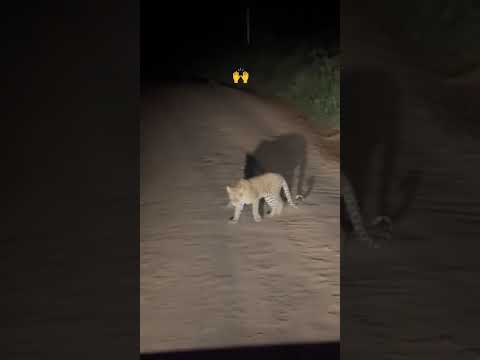 na wenye uenda kujisaidia kwa kichaka this for you,