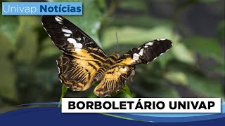 Miniatura do vídeo