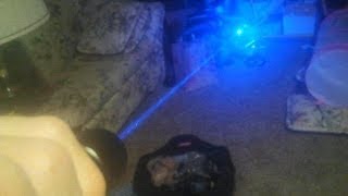 What a true 2000mw laser can do