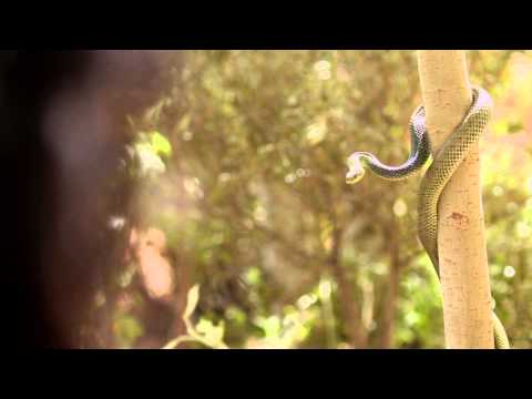 Biblia Serial 2013 PL - Stworzenie świata