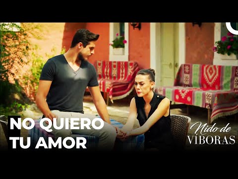 Gran Pelea De Ejder Y Nagme - Nido De Víboras