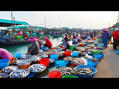 Kampot’s Hidden Gems: Seawater Fish Port and Local Market Adventure!