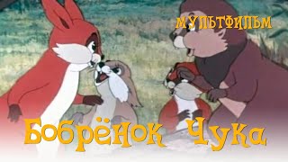 Бобренок Чука (1953)
