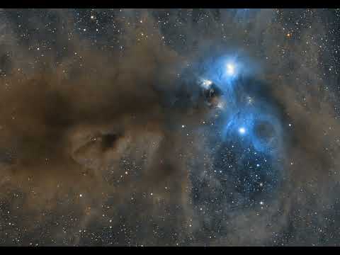 Stars and Dust across Corona Australis #shorts