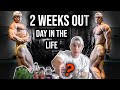 A DAY IN THE LIFE 2 WEEKS OUT | HIGH CARBS & CHEST PUMPS