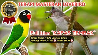 Download lagu MASTERAN LOVEBIRD ISIAN KAPAS TEMBAK 🔴 Masteran Burung Lovebird 🔴 Vlog Kampung Tv mp3