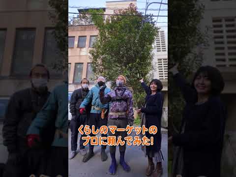 キョウチクトウ豆は切ったほうがいいですか？いつ、どのように行うのですか?ちょっとしたメンテナンスガイド  庭園