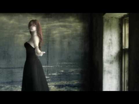 Diary of Dreams -.- Traumtänzer