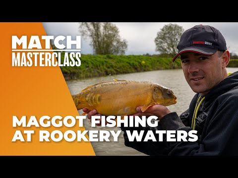 Maggot Fishing At Rookery Waters - Match Masterclass