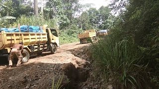 Download lagu Indonesia Extreme Truck in Mud Roads - Amazing Truck Driving Skill In Indonesia mp3