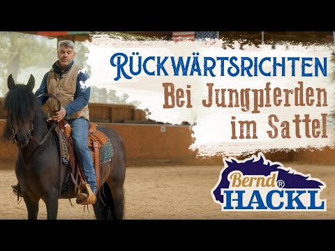 Rückwärtsrichten mit Jungpferden | Bernd Hackl erklärt! 🐴