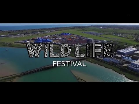 download lagu mp3 mp4 Wildlife Festival, download lagu Wildlife Festival gratis, unduh video klip Wildlife Festival