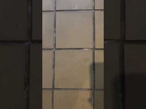 image-How do you clean white grout that has turned black?