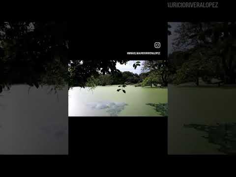 Parque de la salud Cartago Valle