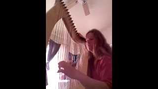 6/6 cross strung harp: skeletons by rickie lee jones