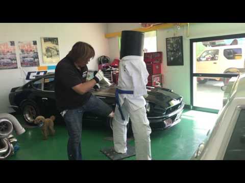 インローマスター購入