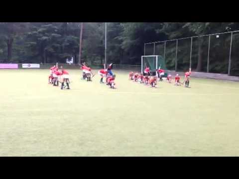 Amhc flashmob hockey
