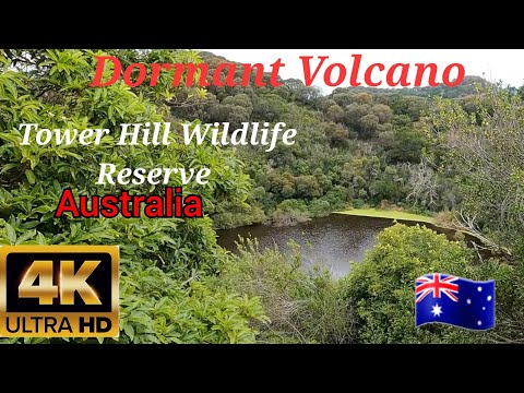 Tower Hill Wildlife Reserve , Dormant  Valcano , Melbourne, Australia.