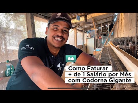 Earn R$2,125 a Month Raising Giant Quails at Home