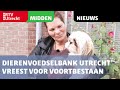 Dierenvoedselbank Utrecht vreest voor voortbestaan: 'De tijd dringt' [RTV Utrecht]