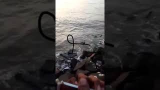 Download lagu Hidup ku sepi tanpamu - D'paspor ( Story Wa) mp3