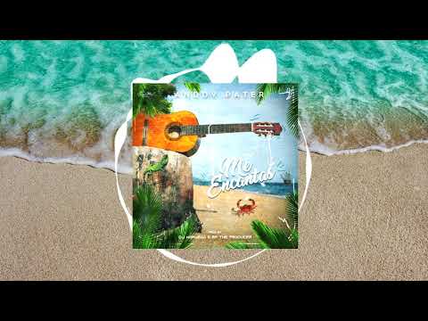 Anddy Pater - Me Encantas (Audio Official)