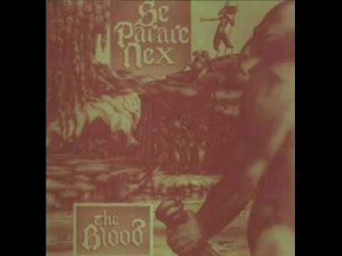 The Blood - I Dreamt Of Your Death Last Night