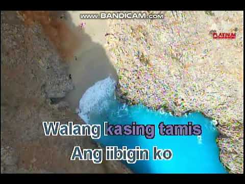 Wala Pa Ring Iba |Platinum Karaoke |Se