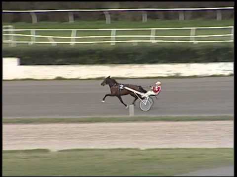 Trotto 20/01/2015 - Prova di qualifica