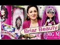 Briar Beauty Thronecoming Book Ever After High ...