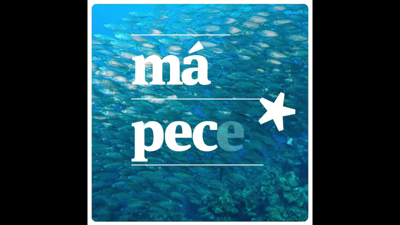 ES: C1: WOD_2025 - MSC Más peces* - MSC España 16:9