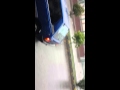 Sex In Car In Pakistan