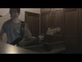 Millencolin - Low Life Bass Cover