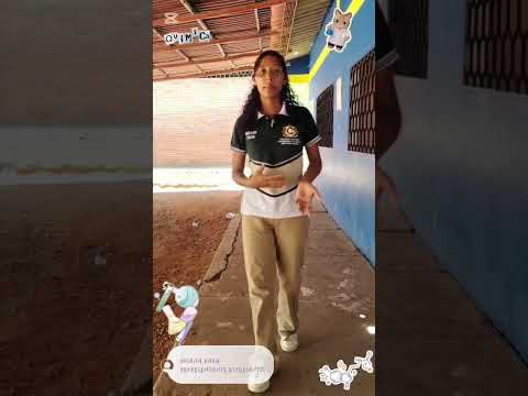 Pijiño del Carmen IED Pijiño del Carmen - Docente Iván Modesto Castro Gutiérrez
