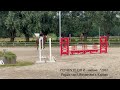 Pegase van 't Ruytershof x Kannan