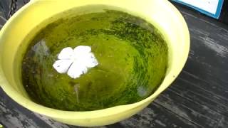 川越旅行パート2【のんびり注意】ほぼカットのみです。