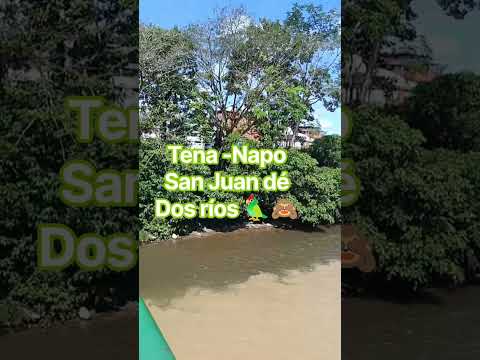 Tena -Napo; balneario turístico del la Amazonia 🦜🙈🙏🏻🙌🏻💞