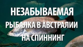 Рыбалка на побережье австралии находиться сидней