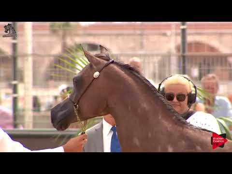 Menton 2018 - Class 1B